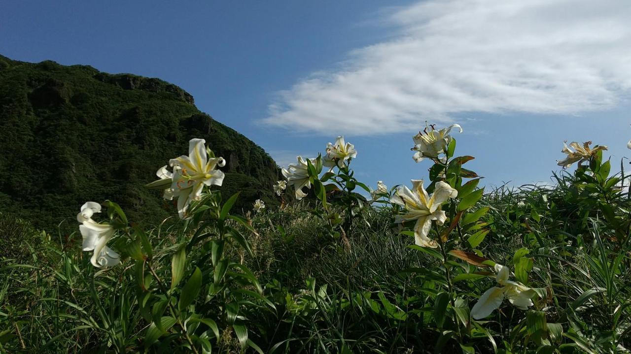 築100年の宿【はぶの家】 오시마 외부 사진